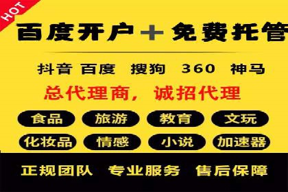 行业领先SEM托管代运营案例